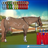 Horse Color:White Spotted Liver Red Dun Tobiano 