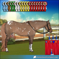 Horse Color:White Spotted Liver Red Dun Tobiano 