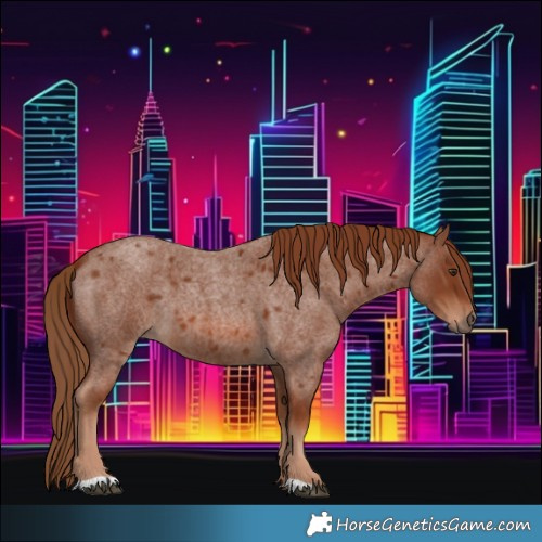 Horse Color:Red Roan 