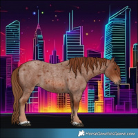 Horse Color:Red Roan 