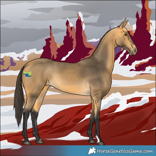 Horse Color:Buckskin Rabicano 