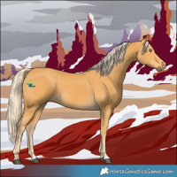 Horse Color:Palomino