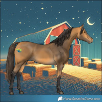 Horse Color:Buckskin 