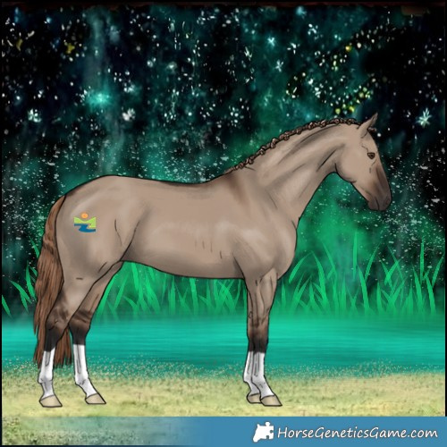 Horse Color:Liver Red Dun 