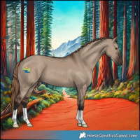 Horse Color:Liver Red Dun 