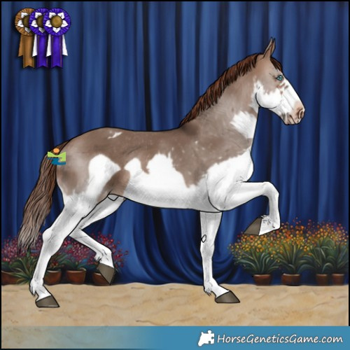 Horse Color:Brown Dun Splash Frame Varnish Rabicano 