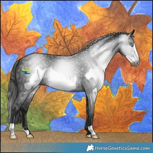 Horse Color:Gray Black Frame 