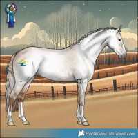 Horse Color:Gray Red Dun
