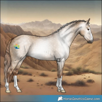 Horse Color:Gray Red Dun 