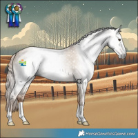 Horse Color:Gray Red Dun