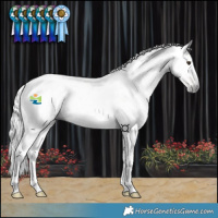 Horse Color:Gray Red Dun