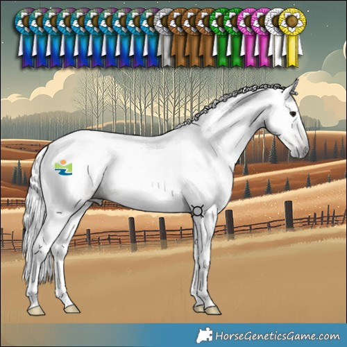 Horse Color:Gray Chocolate Bay Dun Tobiano 