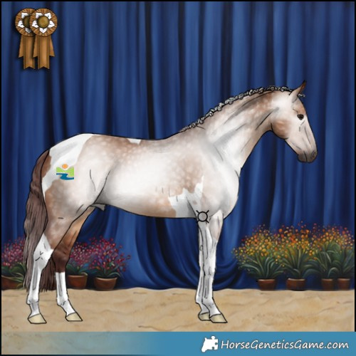 Horse Color:Gray Chocolate Bay Dun Tobiano 