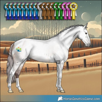 Horse Color:Gray Chocolate Bay Dun Tobiano 