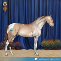 Horse Color:Gray Chocolate Bay Dun Tobiano 