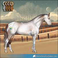 Horse Color:Gray Chocolate Bay Dun Tobiano 