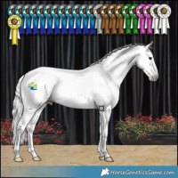 Horse Color:Gray Chocolate Bay Dun Tobiano 