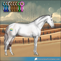 Horse Color:Gray Chocolate Bay Dun Tobiano 