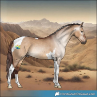 Horse Color:Gray Chocolate Bay Dun Tobiano 