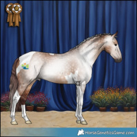 Horse Color:Gray Chocolate Bay Dun Tobiano 