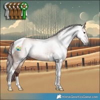 Horse Color:Gray Chocolate Bay Dun Tobiano 