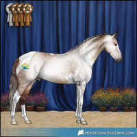 Horse Color:Gray Chocolate Bay Dun Tobiano
