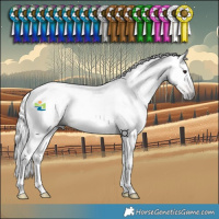 Horse Color:Gray Chocolate Bay Dun Tobiano 