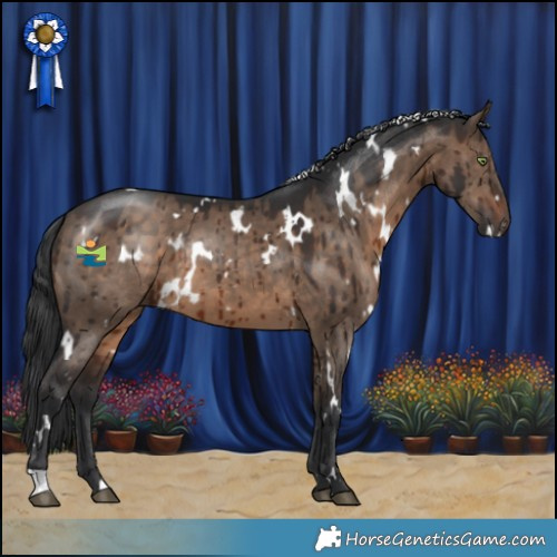 Horse Color:White Spotted Brown Dun Brindle 