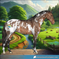 Horse Color:White Spotted Brown Dun Varnish Brindle