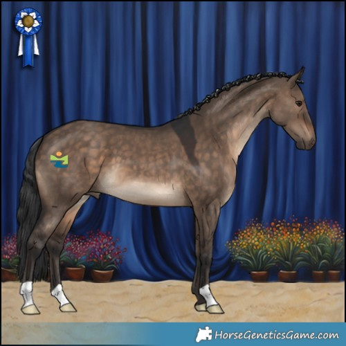 Horse Color:Brown Dun 