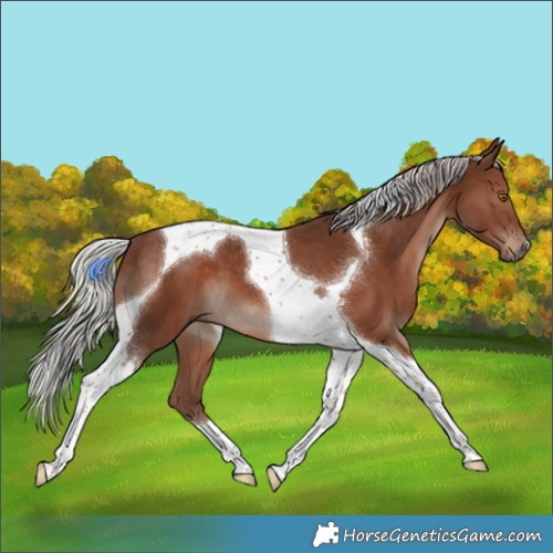 Horse Color:Silver Black Mushroom Tobiano 