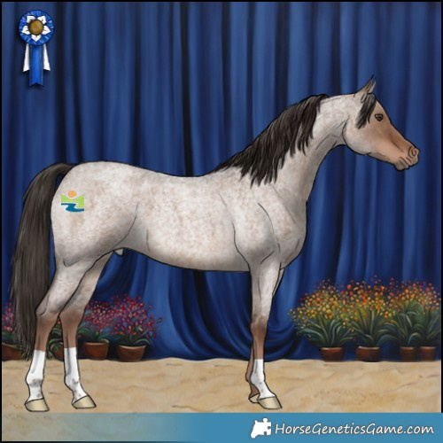 Horse Color:Liver Red Dun Roan 