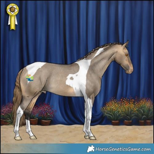 Horse Color:Buckskin Dun Tobiano Appaloosa Rabicano 