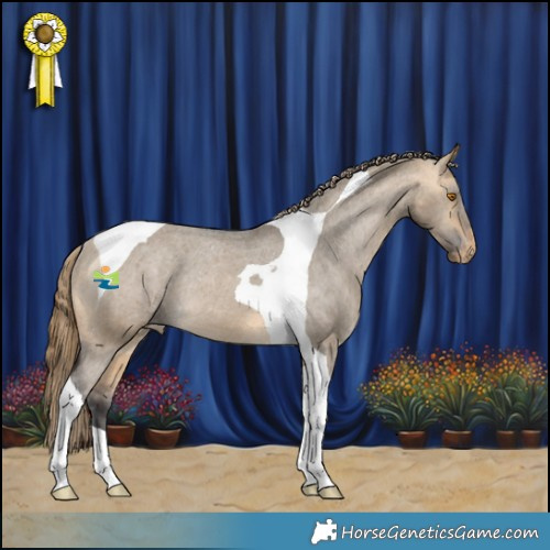 Horse Color:Buckskin Dun Tobiano Appaloosa Rabicano 