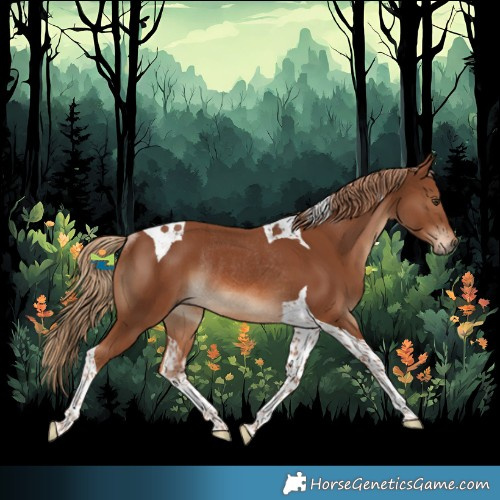 Horse Color:Chestnut Tobiano Rabicano 