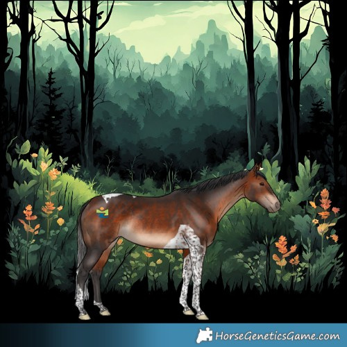 Horse Color:Bay Tobiano Rabicano 