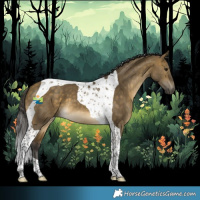 Horse Color:Buckskin Dun Tobiano 