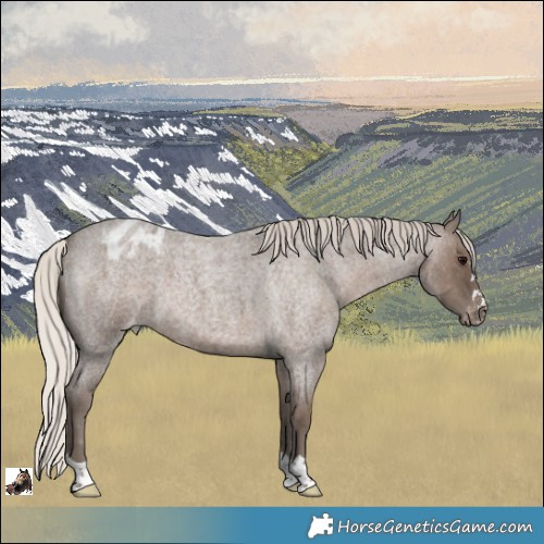 Horse Color:Silver Blue Roan Varnish 