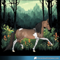 Horse Color:Bay Dun Tobiano Rabicano