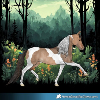 Horse Color:Bay Dun Tobiano Rabicano