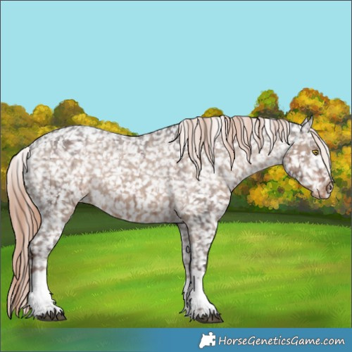 Horse Color:Liver Red Dun Sabino Tobiano Snowflake VarnishBrindle 