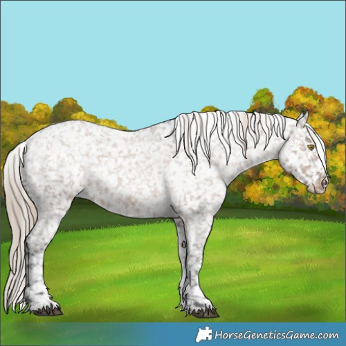 Horse Color:Liver Red Dun Roan Sabino Snowflake Varnish 