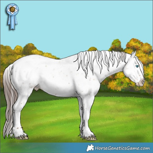 Horse Color:Classic Champagne Dun Sabino Splash Appaloosa 