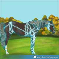 Horse Color:Thunderstruck Liver Chestnut 