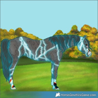 Horse Color:Thunderstruck Liver Chestnut Ice