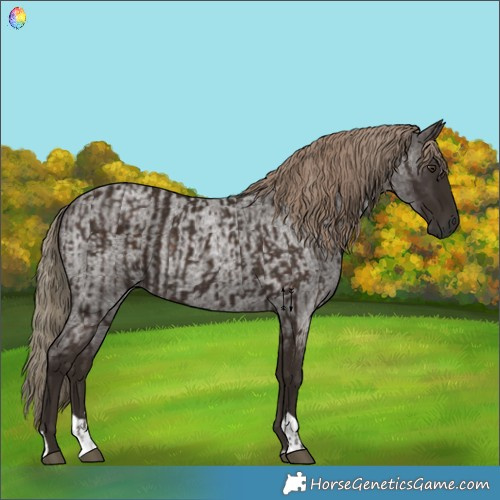Horse Color:Liver Chestnut  and Liver Red Roan 