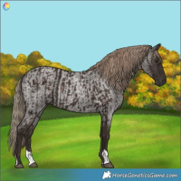 Horse Color:Liver Chestnut  and Liver Red Roan 
