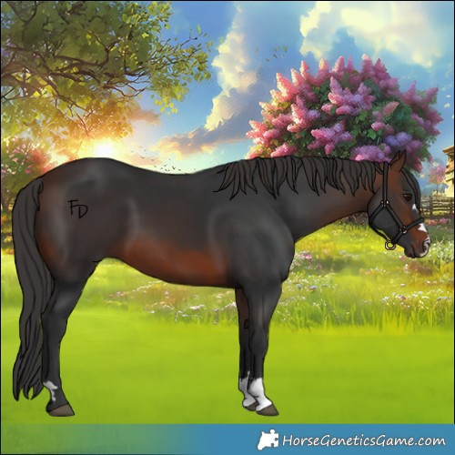 Horse Color:Brown 