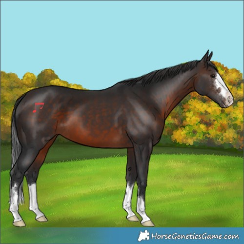 Horse Color:Brown 