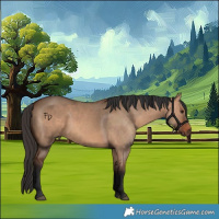 Horse Color:Bay Dun 